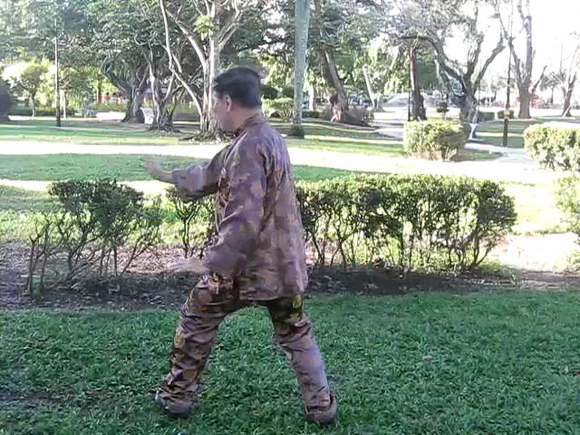 Sun Style Taijiquan